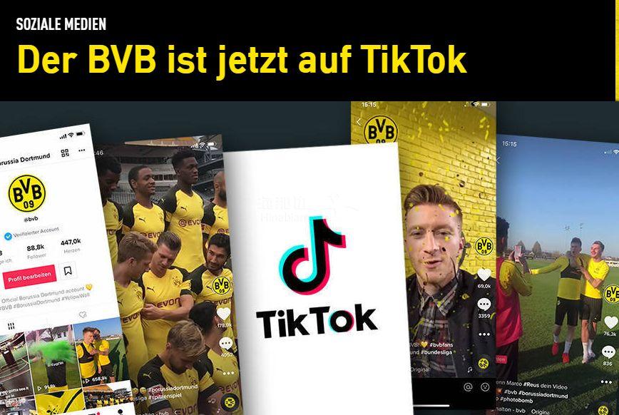 TikTok creator outreach pipeline failure scenarios showing common pitfalls in influencer management