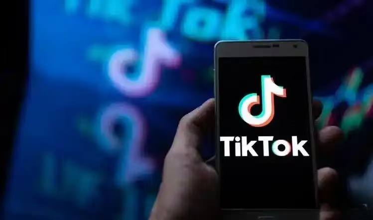 Diagram showing how creator relationships matter more in small TikTok niches