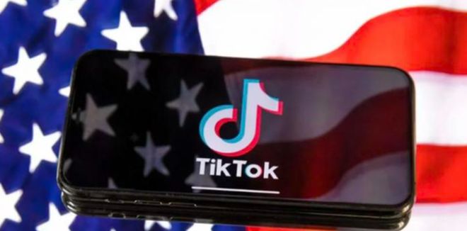 TikTok affiliate plan management structure showing Open Targeted and Shop plans