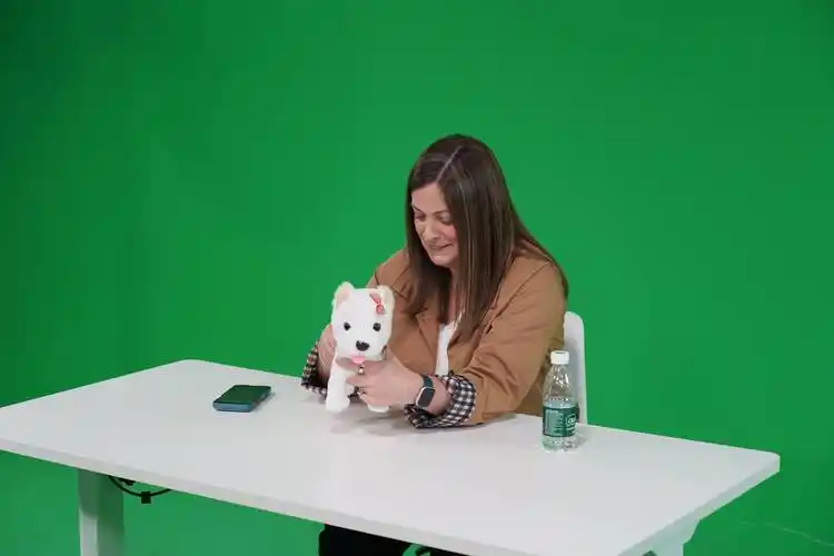 Safety checklist for tiktok creator outreach automation