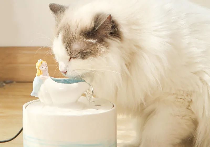 Cat drinking from a ceramic pet fountain, a sample that arrived and earned a post